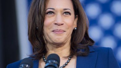 Harris concedes defeat to Trump in US presidential election