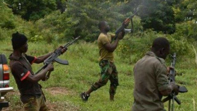 Bandits kill seven farmers in Niger