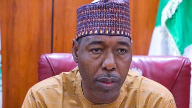 Borno Flood: N5 billion pledges remain unfulfilled as relief distribution ends – Officials