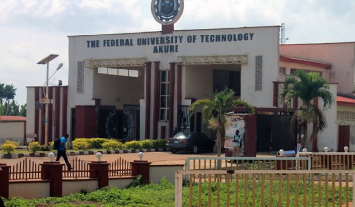 FUTA Professor wins top Nigerian Science prize