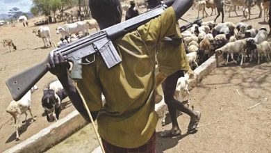 Suspected Herdsmen Kill Ogun Chief on Farmland