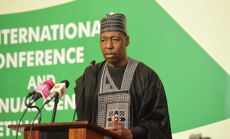 Borno Governor prescribes Chinese leadership model for Nigeria