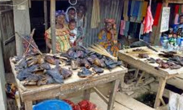 Mpox: Experts identify bushmeat trade as key factor