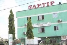 NAPTIP trains 500 teachers on human trafficking