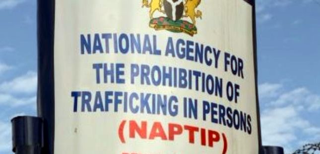 NAPTIP rescues eight-year-old boy stolen one year ago