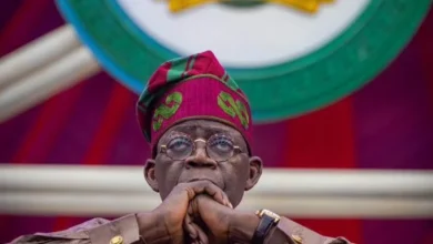 Open Letter To President Bola Ahmed Tinubu By Wale Adedayo