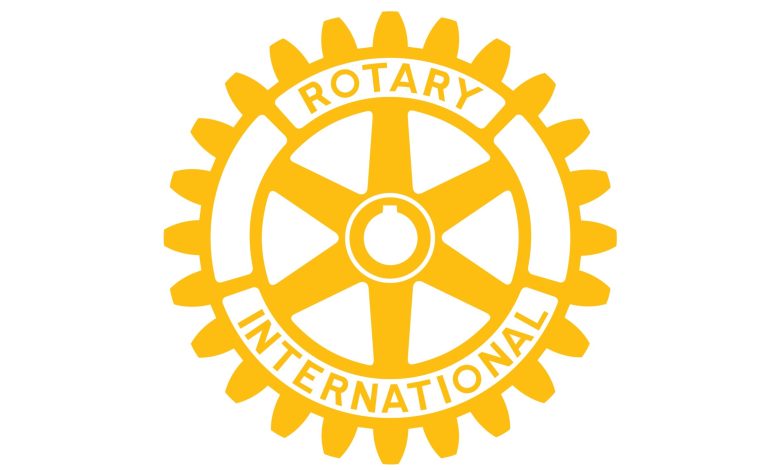 Rotary launches m programme to improve childhood health in Nigeria