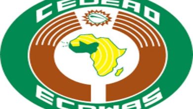 Nigeria seeks collective action to tackle ECOWAS crises