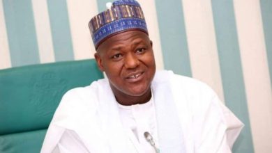 Tax Reform: Tinubu is a courageous leader, deserves support – Dogara