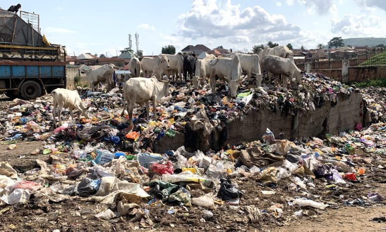 Poor waste disposal heightens disease risks in Abuja community