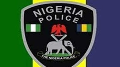 Most Missing Girls Cases, Ritual Killings In Nigeria Connected With Hookups   -Police