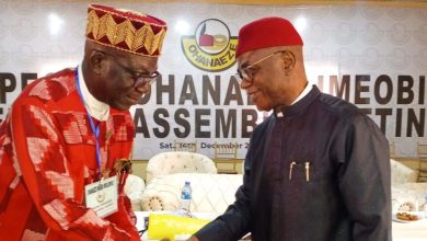 Ex-PDP chairperson emerges new Ohaneze president-general