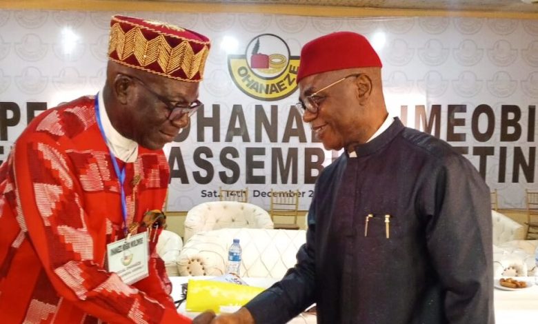 Ex-PDP chairperson emerges new Ohaneze president-general