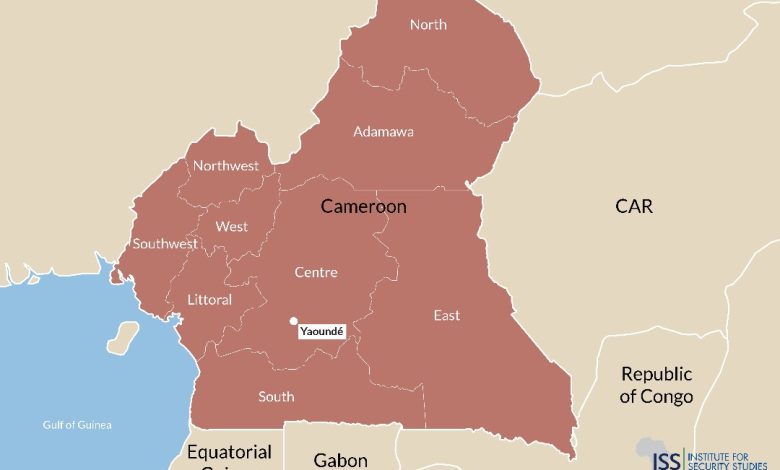 Cameroon’s Far North becomes stronghold for drugs from Nigeria, others Cameroon’s Far North becomes stronghold for drugs from Nigeria, others