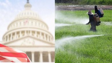 INVESTIGATION: Toxic Tactics: US govt funds pesticide/GM propaganda in Nigeria