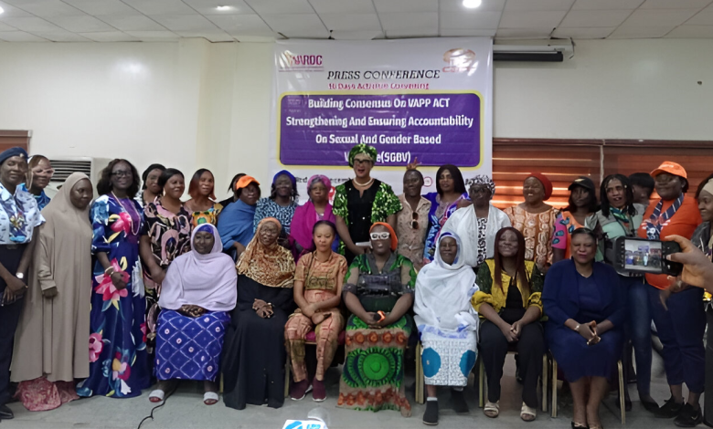 Groups call for increased funding to combat SGBV in Nigeria