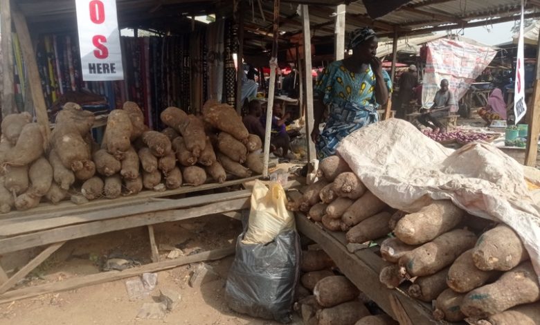 Climate change-induced heatwaves devastate Taraba yam farmers, others