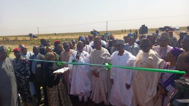 Borno launches modern cattle ranch, RUGA, that promises to revolutionise livestock farming