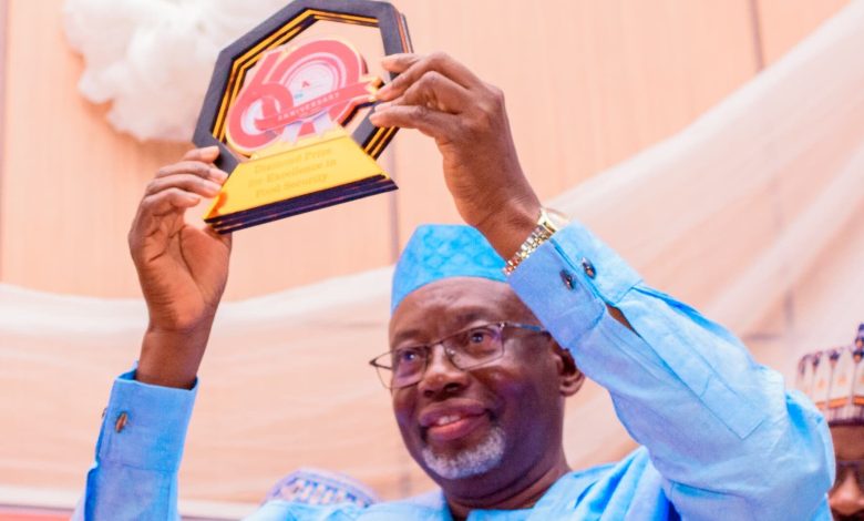 Namadi, a bridge builder redesigning modern Jigawa, By Garba Al-Hadejawy