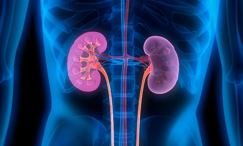 Experts identify factors contributing to increased kidney diseases in Nigeria