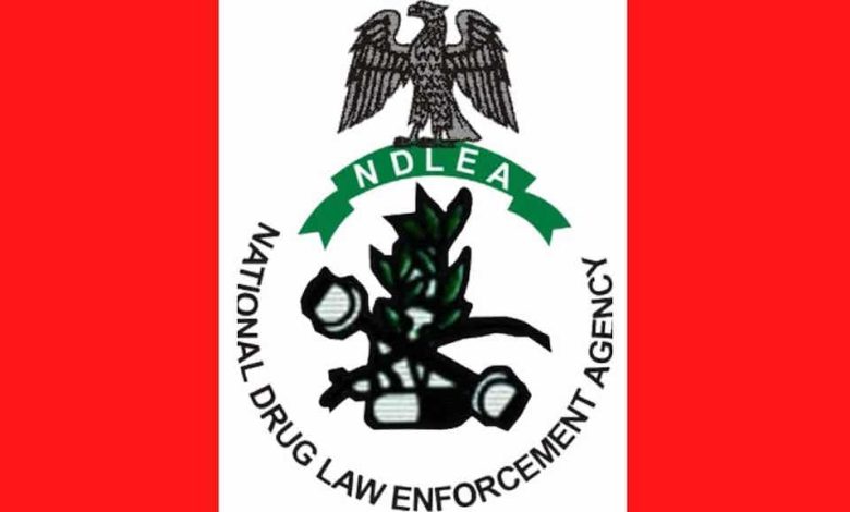 NDLEA arrests ex-convict, recovers 316,800 bottles of codeine