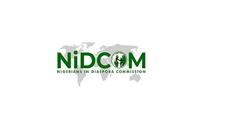 Detty December: NIDCOM rejects 0 tourism tax proposal for returning Nigerians