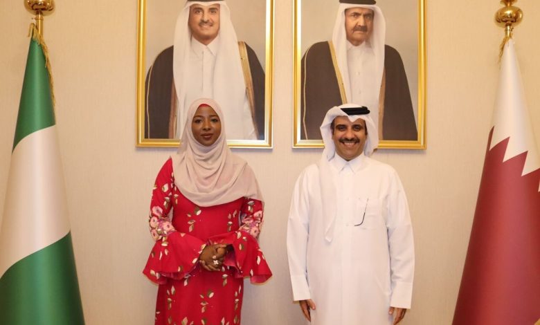 Katsina seeks Qatari investment, cultural partnership