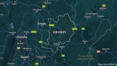 Police confirm 10 killed in suspected herders attack in Ebonyi community