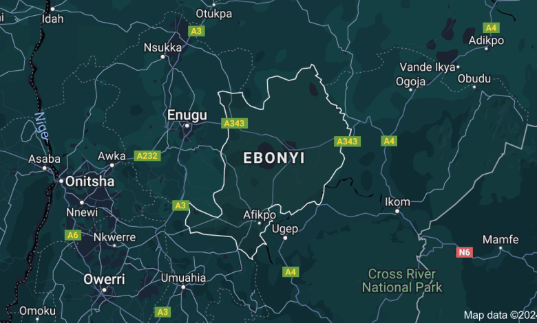 Police confirm 10 killed in suspected herders attack in Ebonyi community