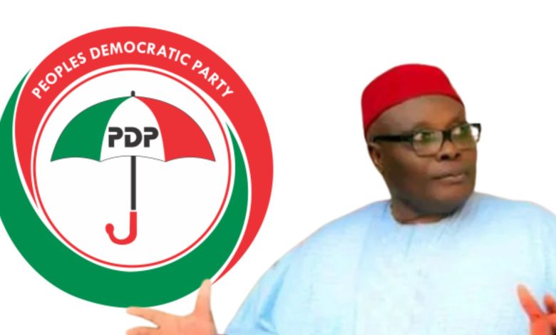 PDP suspends party’s BOT chairperson