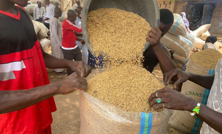 Agric In Nigeria (January Edition): Nigerian farmers count gains, pains Agric In Nigeria (January Edition): Nigerian farmers count gains, pains