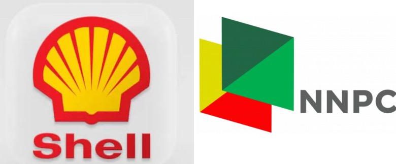 Shell, Bayelsa govt unite for biodiversity conservation