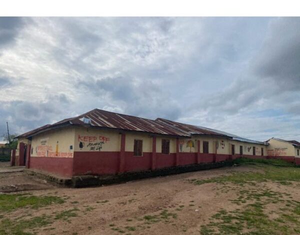 Nigerian govt seeks amendment of mother tongue policy in primary schools Nigerian govt seeks amendment of mother tongue policy in primary schools