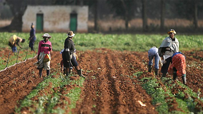 Kwara government advises farmers ahead “shorter-than-usual rainy season”