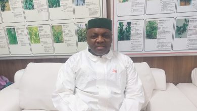 INTERVIEW: Why Nigeria’s traditional medicine is not advancing – Regulator