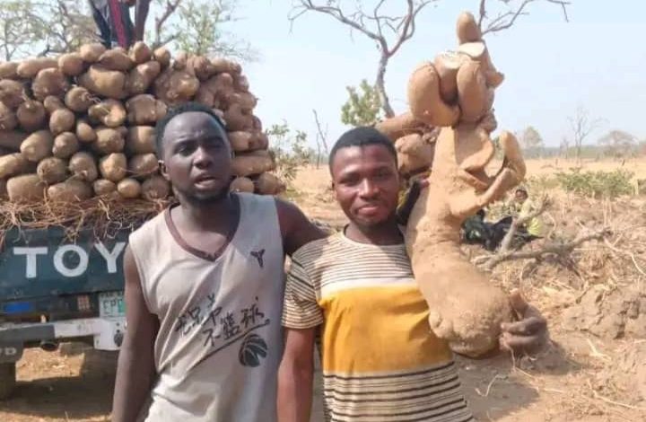 Bandits demand N30 million ransom for release of abducted Bauchi farmers