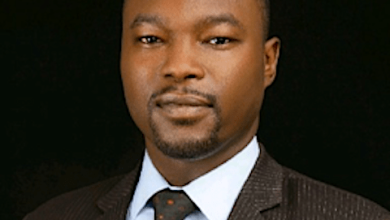 Looking inwards: Domestic sources of funding for climate action in Nigeria, By Ibrahim A. Shelleng