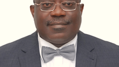 Generalist-professional controversy in the civil service: Reform options for Nigeria, By Tunji Olaopa