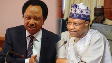 2027: Uba Sani’s return as Kaduna governor my major interest – Shehu Sani