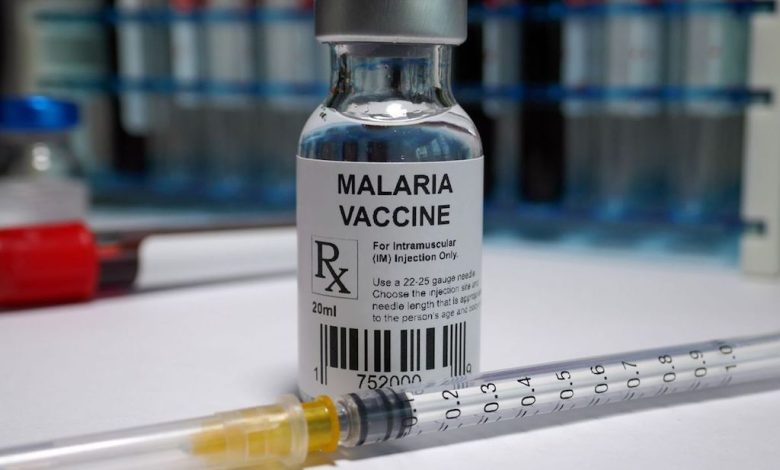 Malaria vaccination gains momentum as WHO targets 25 countries by 2025