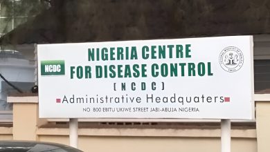 Lassa Fever: Nigeria records 29 new cases, death toll rises to 100