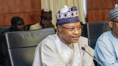 Former senator disagrees with Governor Sani on northern leaders’ role in region’s challenges