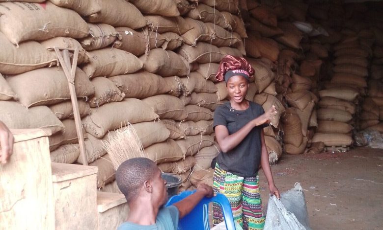 SPECIAL REPORT: Europe’s anti-deforestation regulation threatens Nigeria’s cocoa export SPECIAL REPORT: Europe’s anti-deforestation regulation threatens Nigeria’s cocoa export