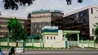 What President Tinubu must do to grow Nigeria’s non-oil export (8)