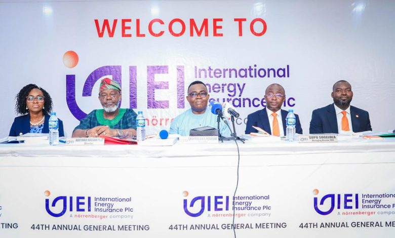 Top insurance firm, IEI Plc holds AGM in Jigawa, targets N15bn recapitalisation Top insurance firm, IEI Plc holds AGM in Jigawa, targets N15bn recapitalisation