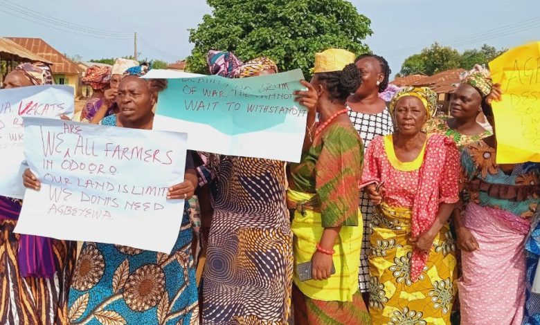 Ekiti women protest over alleged destruction of farmlands by agric firm