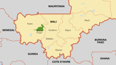 Nigeria repatriates 62 Malians