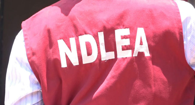 Three NDLEA officers shot during Abuja raid – Official Three NDLEA officers shot during Abuja raid – Official
