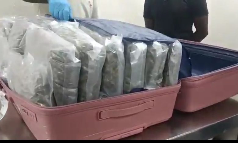 NDLEA arrests two brothers, UK-based student, others in nationwide drug bust NDLEA arrests two brothers, UK-based student, others in nationwide drug bust