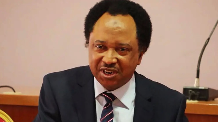 Shehu Sani rejects Miss World Nigeria pageant judge appointment Shehu Sani rejects Miss World Nigeria pageant judge appointment